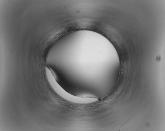 X0000090620505200708141416