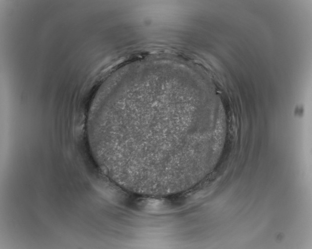 X0000090620507200708141416