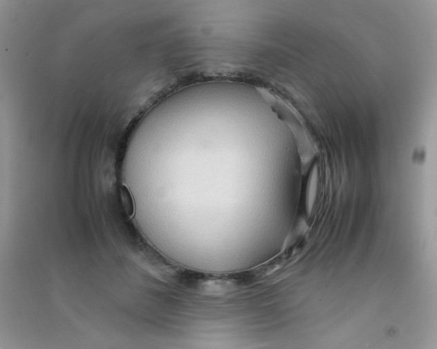 X0000090620508200708141416