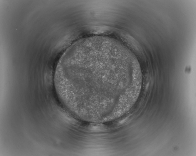 X0000090620510200708141416