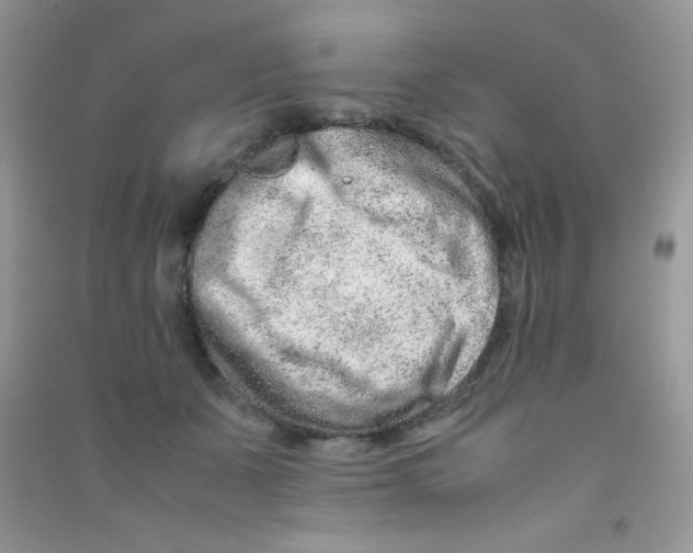 X0000090620511200708141416