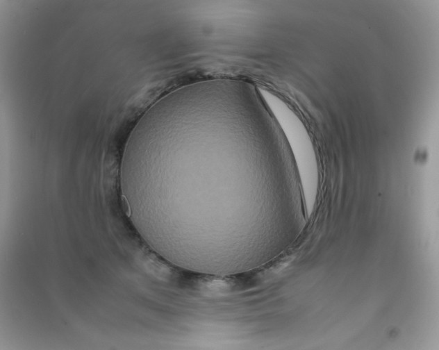 X0000090620513200708141416