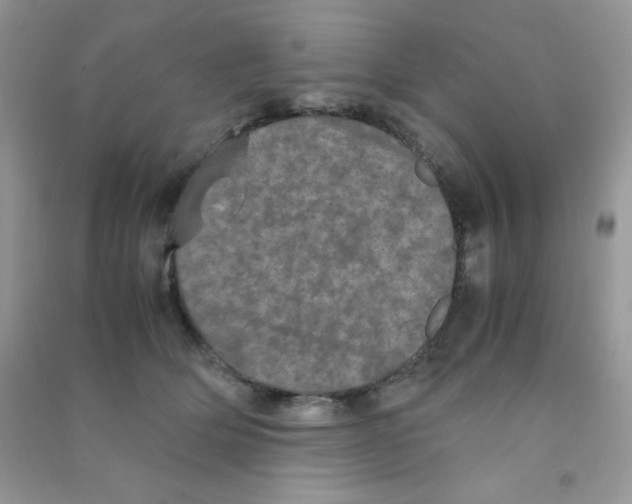 X0000090620514200708141416