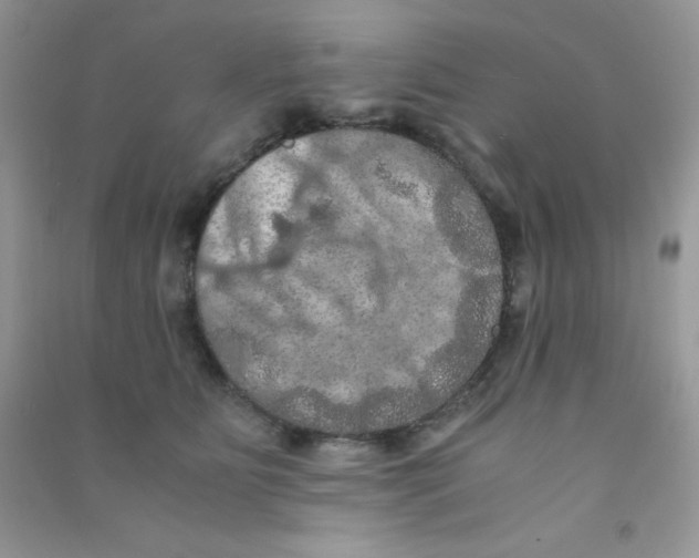 X0000090620515200708141416