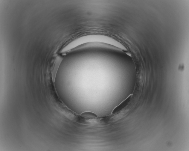 X0000090620516200708141416