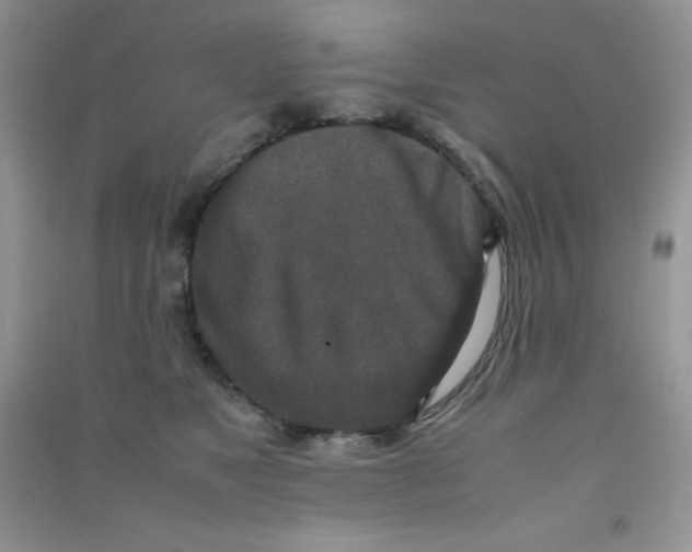 X0000090620517200708141416