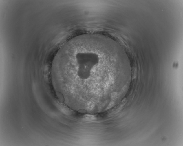 X0000090620519200708141416