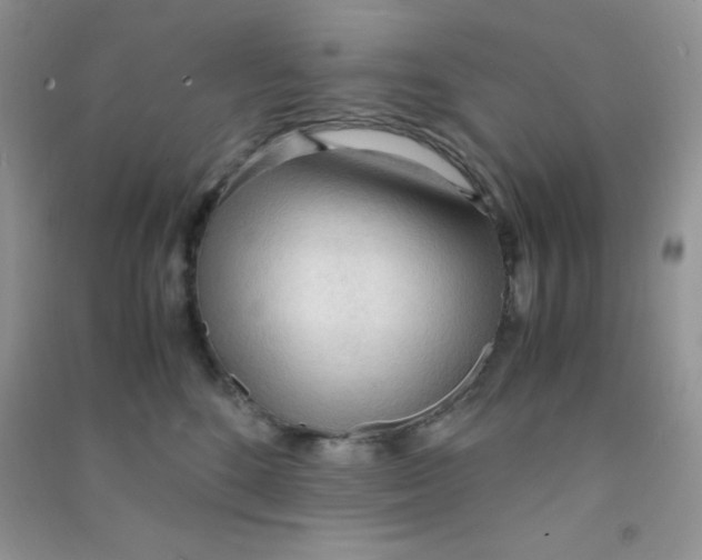 X0000090620520200708141416