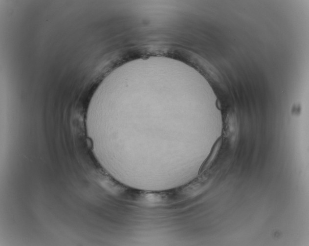 X0000090620522200708141416