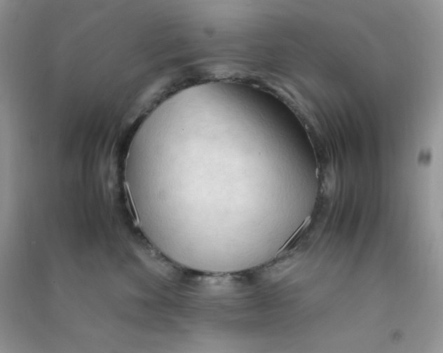 X0000090620524200708141416