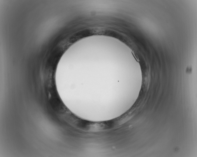 X0000090620525200708141416