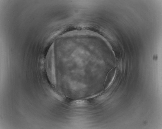 X0000090620526200708141416