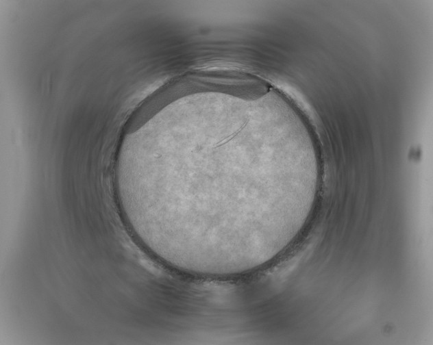 X0000090620529200708141415