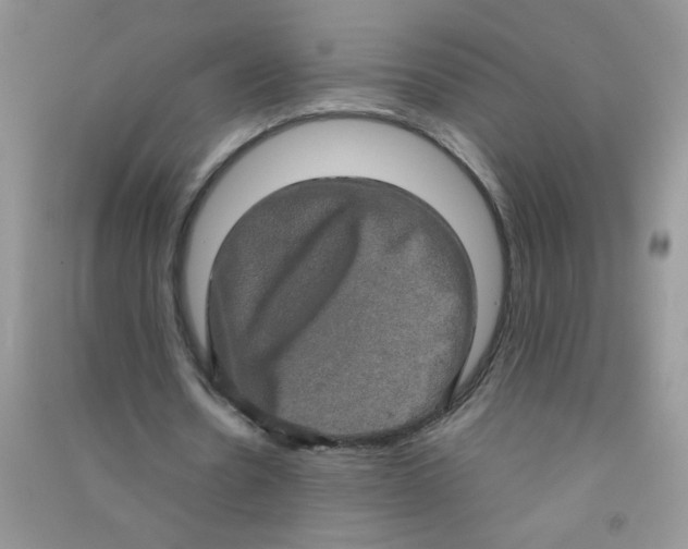 X0000090620530200708141415