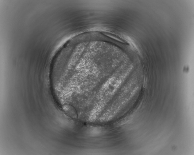 X0000090620531200708141415