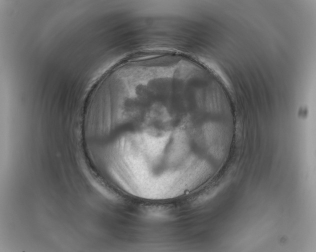 X0000090620533200708141415