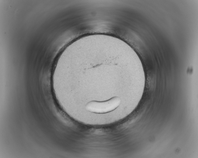 X0000090620534200708141415