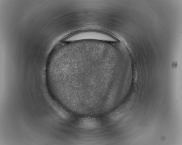 X0000090620535200708141415