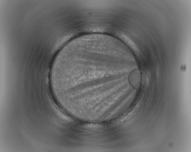 X0000090620537200708141415