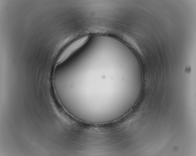 X0000090620538200708141415