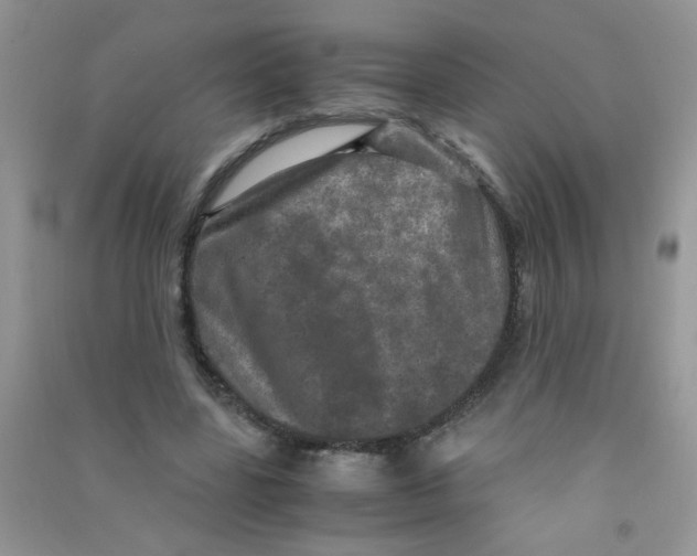 X0000090620539200708141415