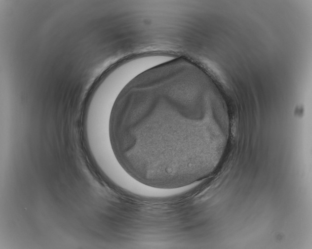 X0000090620540200708141415