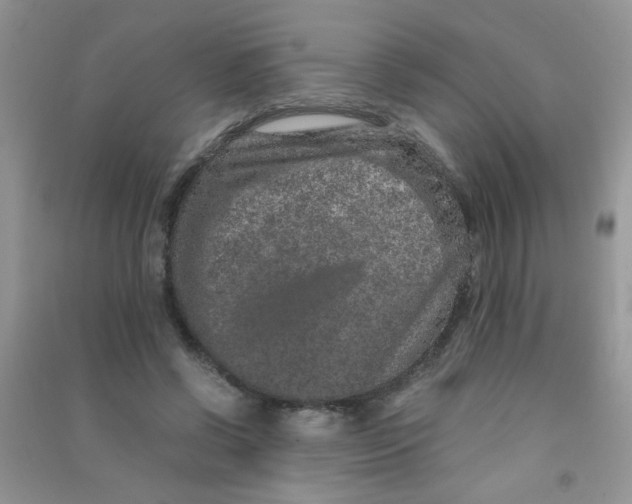 X0000090620542200708141415