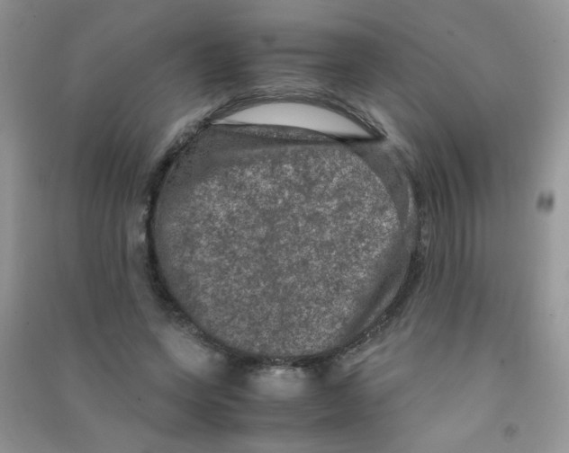 X0000090620543200708141415