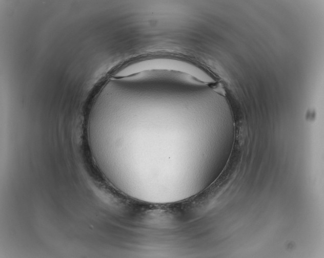 X0000090620544200708141415