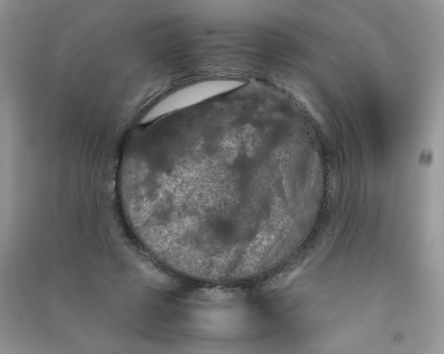 X0000090620545200708141415