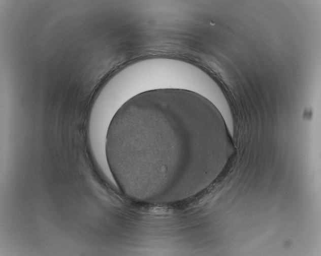 X0000090620546200708141415