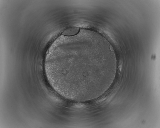 X0000090620547200708141415