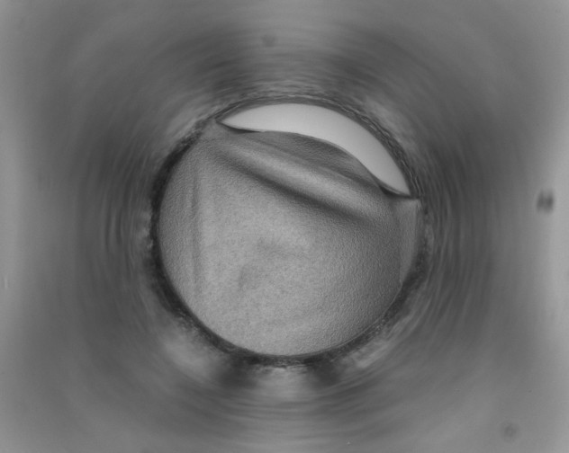 X0000090620548200708141415