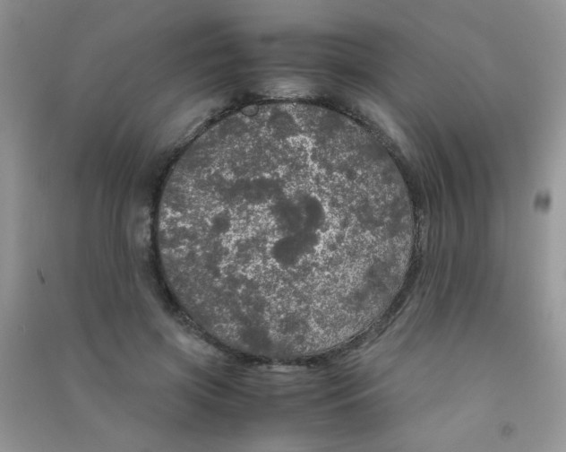 X0000090620549200708141415