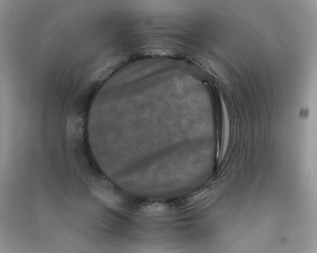 X0000090620551200708141415