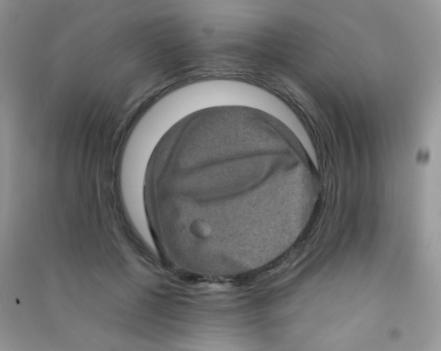 X0000090620552200708141415