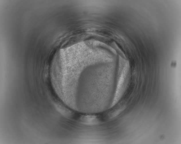 X0000090620554200708141415