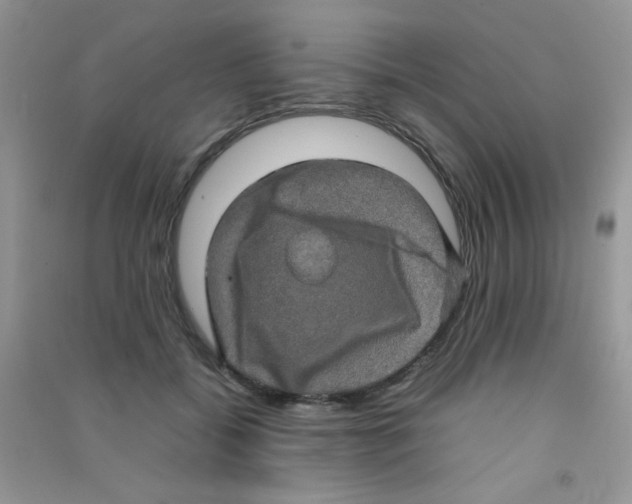 X0000090620556200708141415