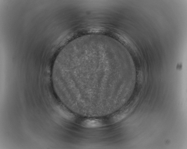 X0000090620557200708141415