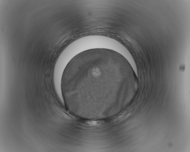 X0000090620558200708141415