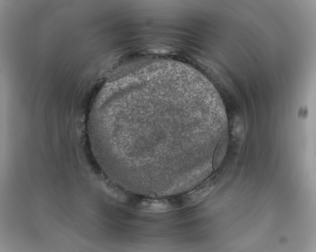 X0000090620559200708141415