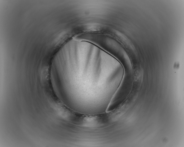 X0000090620560200708141415