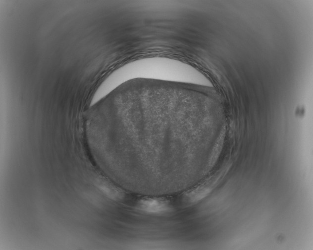 X0000090620561200708141415