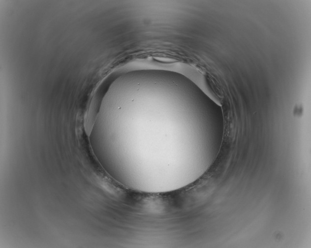 X0000090620562200708141415