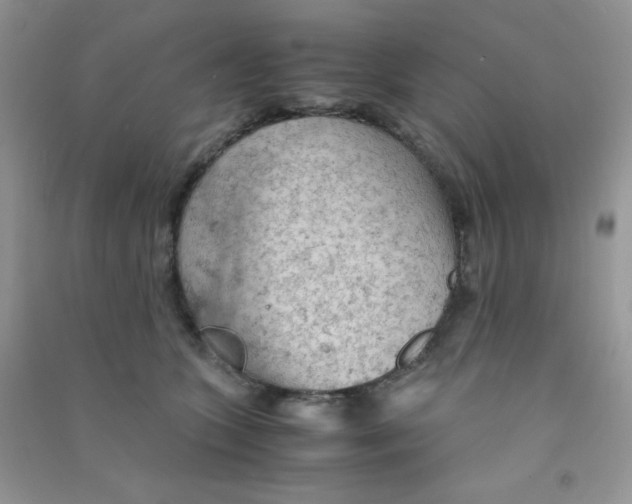 X0000090620563200708141415