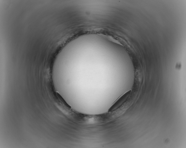 X0000090620564200708141415