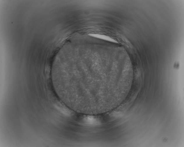 X0000090620565200708141415