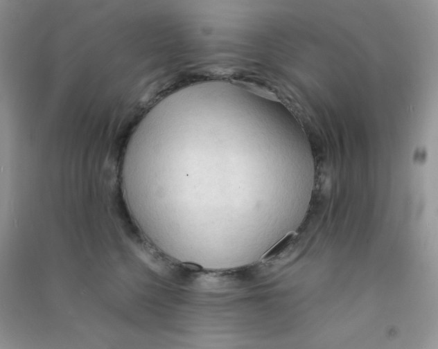 X0000090620568200708141415