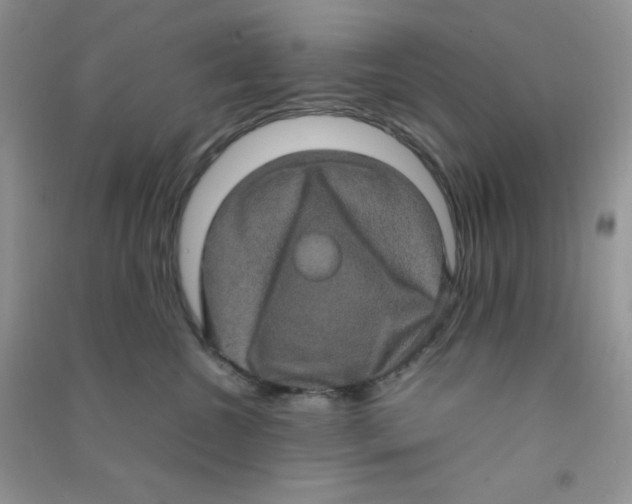 X0000090620572200708141415