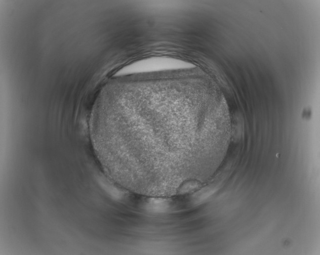 X0000090620573200708141415